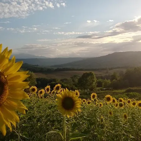 La Vecchia Fattoria