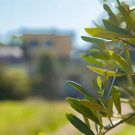 Alloggio per agriturismo La Vecchia Fattoria Orte